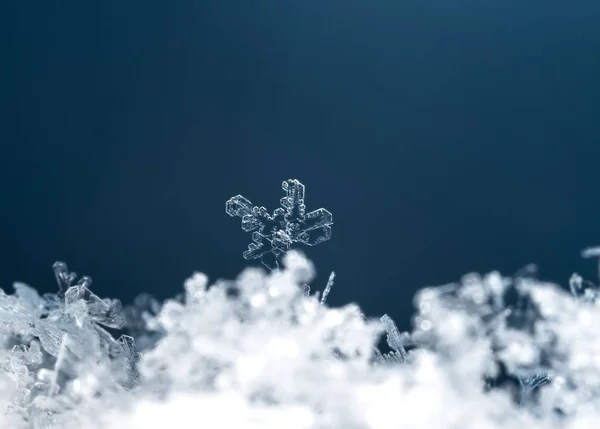 Płatki Śniegu Śniegu Zdjęcie Jest Wykonane Temperaturze — Zdjęcie stockowe