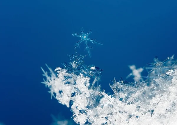 Flocons Neige Sur Neige Image Est Faite Une Température — Photo