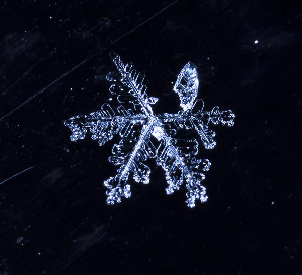 Snowflakes Snow Picture Made Temperature — Stock Photo, Image