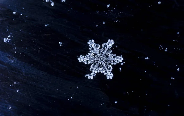 Snowflakes Snow Picture Made Temperature — Stock Photo, Image