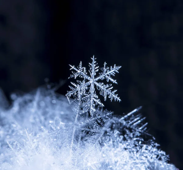 Flocos Neve Neve Imagem Feita Uma Temperatura — Fotografia de Stock