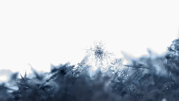 Serpihan Salju Salju Gambar Dibuat Pada Suhu — Stok Foto