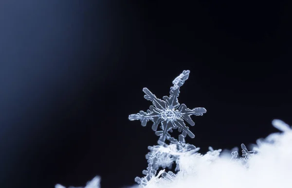 Schneeflocken Auf Schnee Das Bild Wird Bei Einer Temperatur Von — Stockfoto