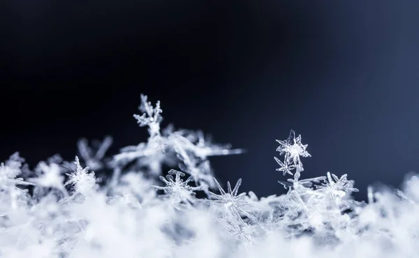 Sneeuwvlokken Sneeuw Foto Gemaakt Bij Een Temperatuur Van — Stockfoto