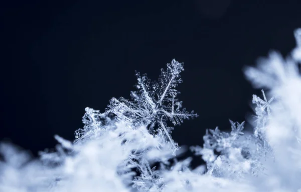 Sneeuwvlokken Sneeuw Foto Gemaakt Bij Een Temperatuur Van — Stockfoto