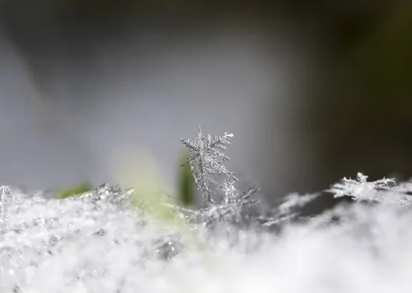 Flocons Neige Sur Neige Image Est Faite Une Température Image En Vente