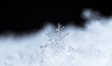 kar üzerinde kar taneleri. Resim 8 bir sıcaklıkta yapılır C