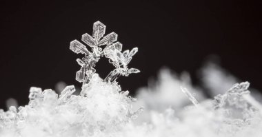 kar üzerinde kar taneleri. Resim 8 bir sıcaklıkta yapılır C