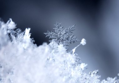 kar üzerinde kar taneleri. Resim 8 bir sıcaklıkta yapılır C