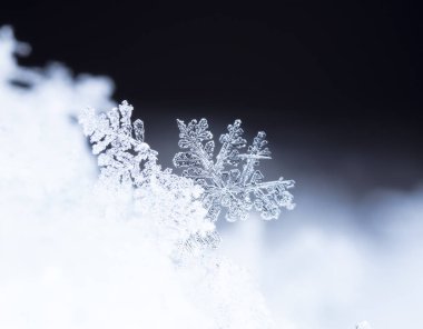 kar üzerinde kar taneleri. Resim 8 bir sıcaklıkta yapılır C