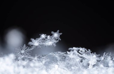 kar üzerinde kar taneleri. Resim 8 bir sıcaklıkta yapılır C