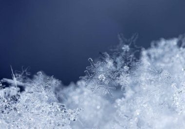 kar üzerinde kar taneleri. Resim 8 bir sıcaklıkta yapılır C