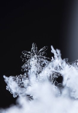 kar üzerinde kar taneleri. Resim 8 bir sıcaklıkta yapılır C