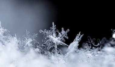 kar üzerinde kar taneleri. Resim 8 bir sıcaklıkta yapılır C