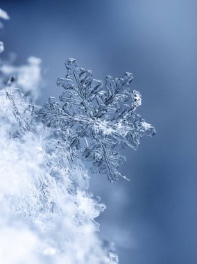 kar üzerinde kar taneleri. Resim 8 bir sıcaklıkta yapılır C