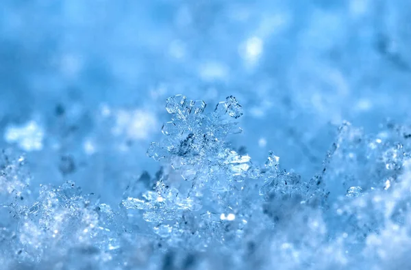 Fiocchi Neve Sulla Neve Immagine Fatta Una Temperatura — Foto Stock