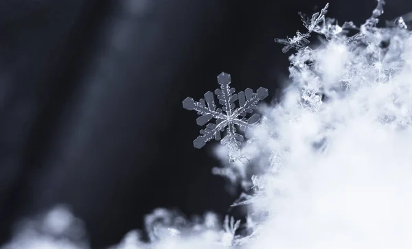 Sneeuwvlokken Sneeuw Foto Gemaakt Bij Een Temperatuur Van — Stockfoto