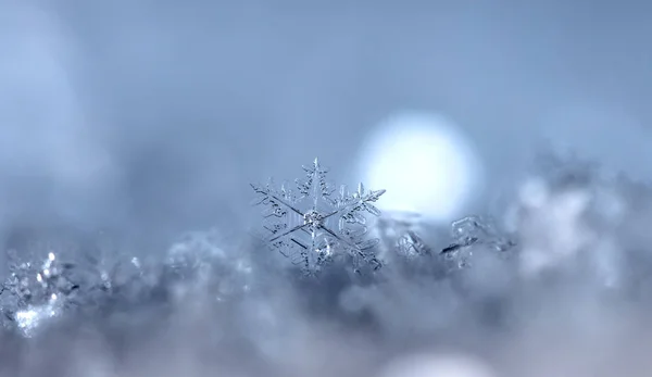 在雪上的雪花 这幅画是在温度的 — 图库照片