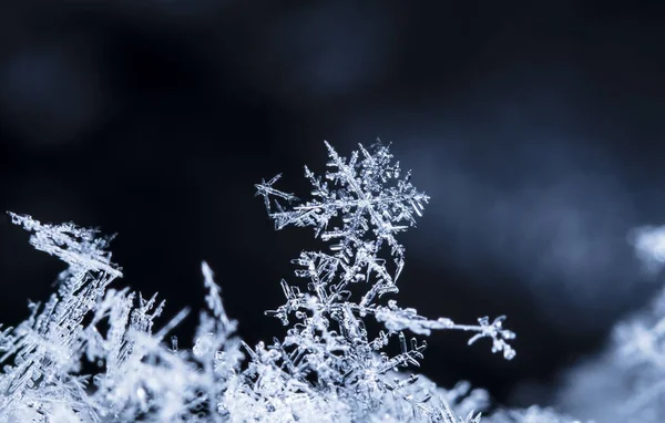 Νιφάδες Χιονιού Στο Χιόνι Εικόνα Γίνεται Θερμοκρασία Του — Φωτογραφία Αρχείου