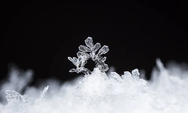 Hópelyhek Hóban Kép Készült Hőmérsékleten — Stock Fotó