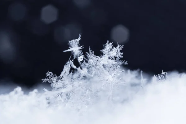 Sneeuwvlokken Sneeuw Foto Gemaakt Bij Een Temperatuur Van — Stockfoto