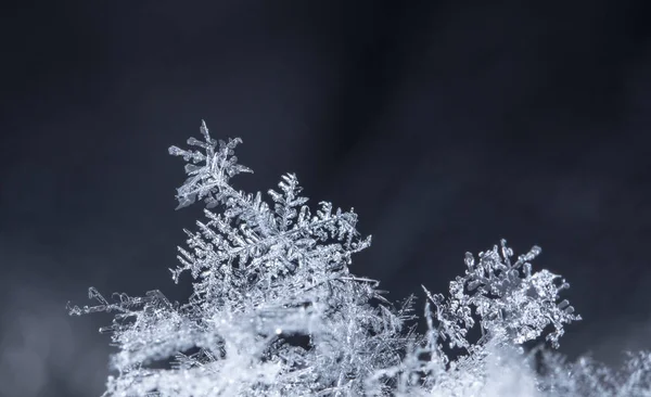 在雪上的雪花 这幅画是在温度的 — 图库照片