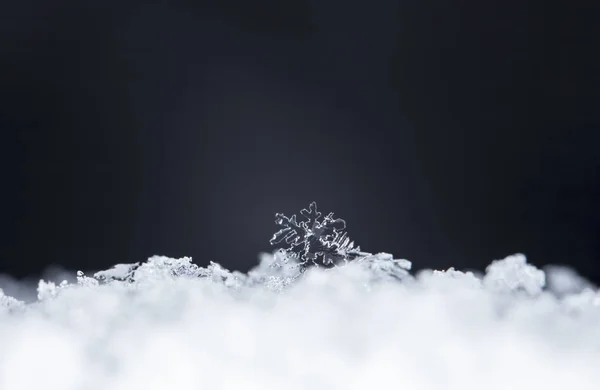 Snöflingor Snö Bilden Gjord Vid Temperatur — Stockfoto