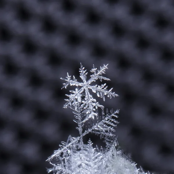 Płatki Śniegu Śniegu Zdjęcie Jest Wykonane Temperaturze — Zdjęcie stockowe