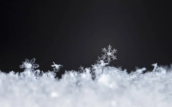 Sneeuwvlokken Sneeuw Foto Gemaakt Bij Een Temperatuur Van — Stockfoto