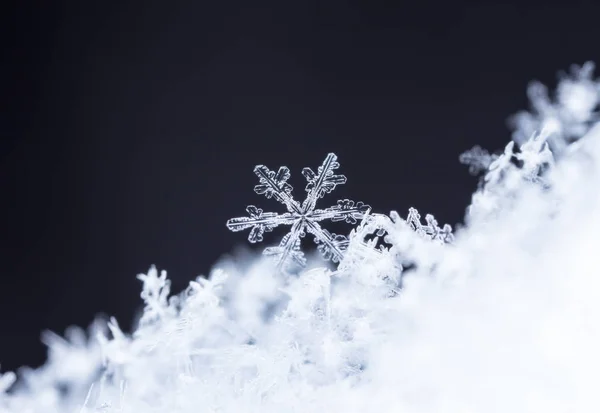 Hópelyhek Hóban Kép Készült Hőmérsékleten — Stock Fotó