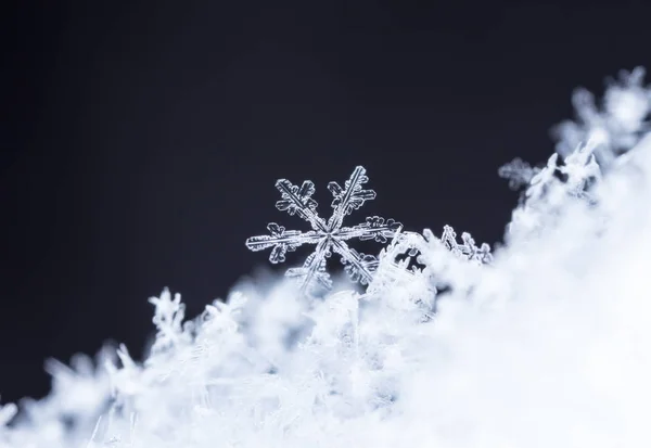 在雪上的雪花 这幅画是在温度的 — 图库照片