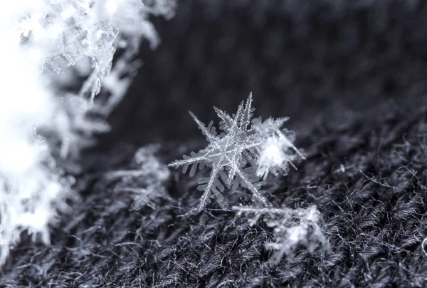 Copos Nieve Nieve Imagen Hace Una Temperatura — Foto de Stock