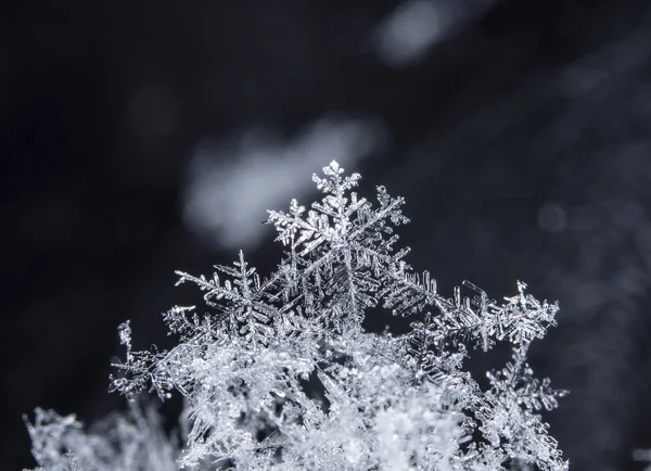 雪の上の雪 画像は の温度で作られた — ストック写真