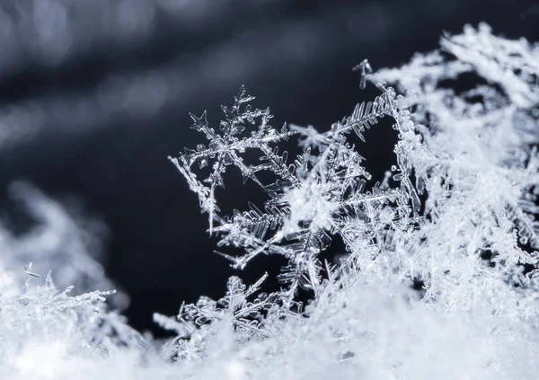 Schneeflocken Auf Schnee Das Bild Wird Bei Einer Temperatur Von — Stockfoto