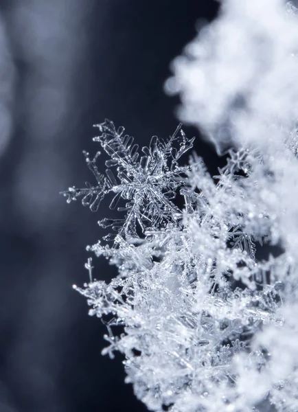 Flocos Neve Neve Imagem Feita Uma Temperatura — Fotografia de Stock