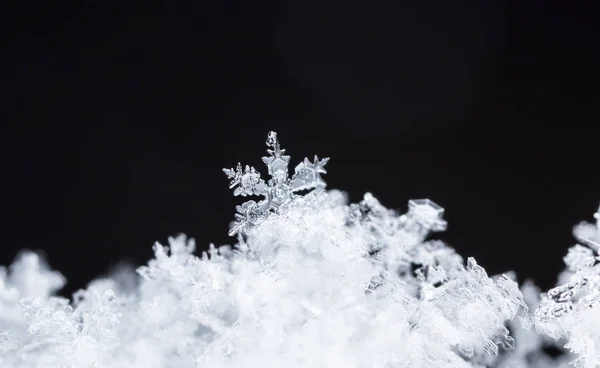 Flocos Neve Neve Imagem Feita Uma Temperatura — Fotografia de Stock