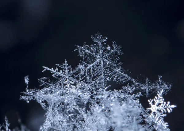 Copos Nieve Nieve Imagen Hace Una Temperatura —  Fotos de Stock