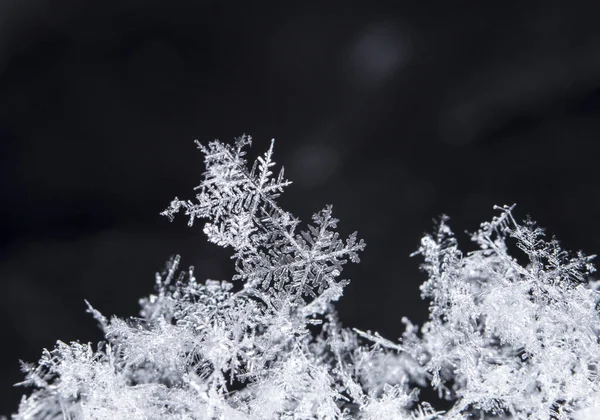 Vločky Sněhu Obrázek Provedena Při Teplotě — Stock fotografie