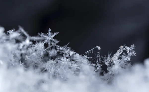 Fiocchi Neve Sulla Neve Immagine Fatta Una Temperatura — Foto Stock