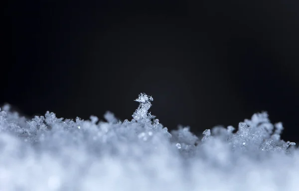 Sneeuwvlokken Sneeuw Foto Gemaakt Bij Een Temperatuur Van — Stockfoto