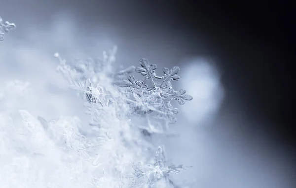Sneeuwvlokken Sneeuw Foto Gemaakt Bij Een Temperatuur Van — Stockfoto