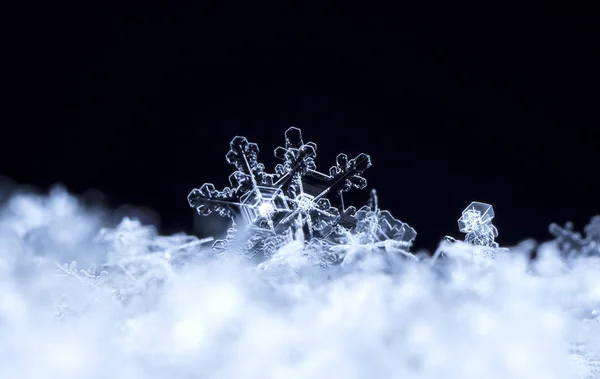 Fiocchi Neve Sulla Neve Immagine Fatta Una Temperatura — Foto Stock