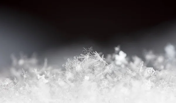 Snowflakes Snow Picture Made Temperature — Stock Photo, Image