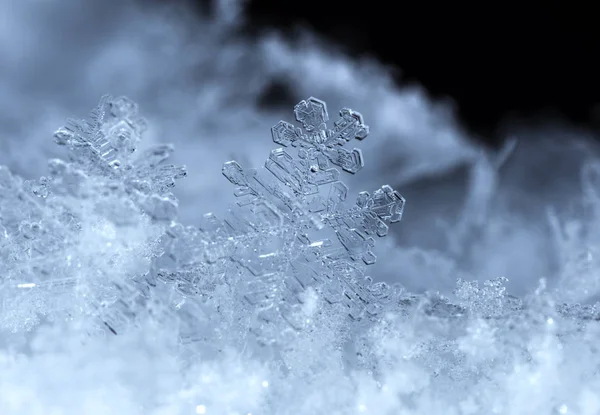 Snowflakes Snow Picture Made Temperature — Stock Photo, Image