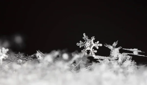 Copos Nieve Nieve Imagen Hace Una Temperatura —  Fotos de Stock