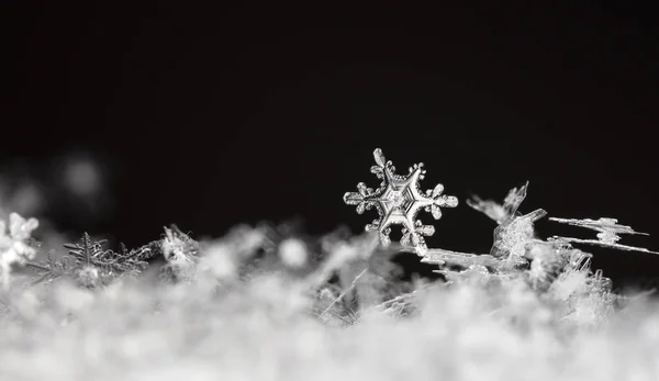 Sneeuwvlokken Sneeuw Foto Gemaakt Bij Een Temperatuur Van — Stockfoto