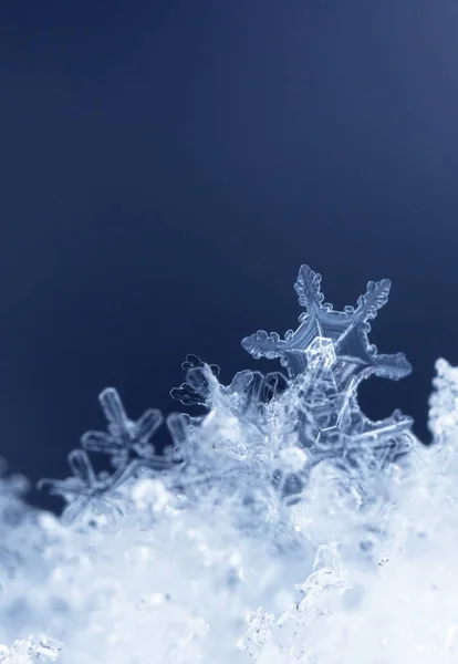 在雪上的雪花 这幅画是在温度的 — 图库照片