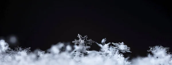 Snowflakes Snow Picture Made Temperature — Stock Photo, Image