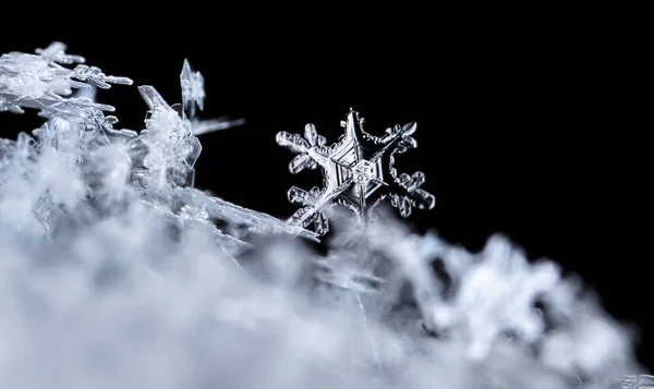 Copos Nieve Nieve Imagen Hace Una Temperatura —  Fotos de Stock