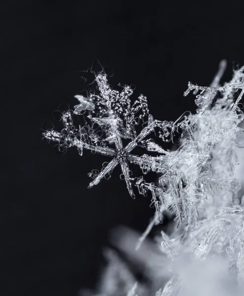 Flocos Neve Neve Imagem Feita Uma Temperatura — Fotografia de Stock